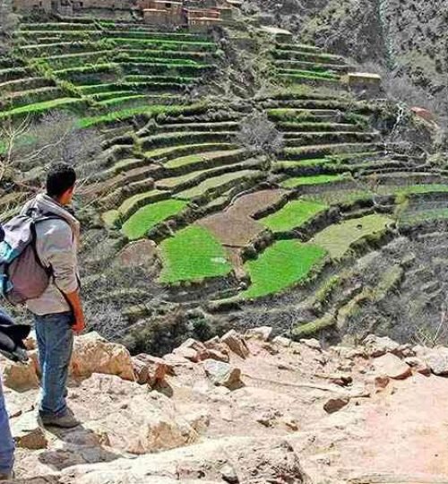 Marrakech-tours-to-the-Atlas-Mountains-900x500